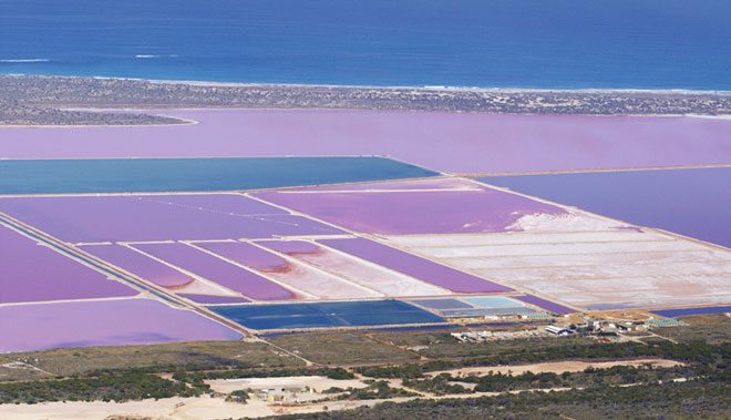 abrolhos islands pink lake gorges grand flight tour ex kalbarri3