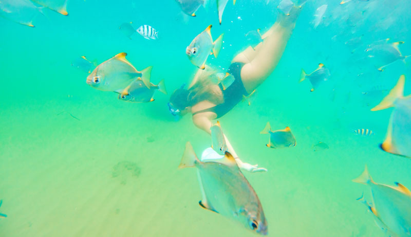 Australian Kayaking Adventures, Gold Coast, QLD