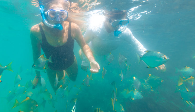 Australian Kayaking Adventures, Gold Coast, QLD