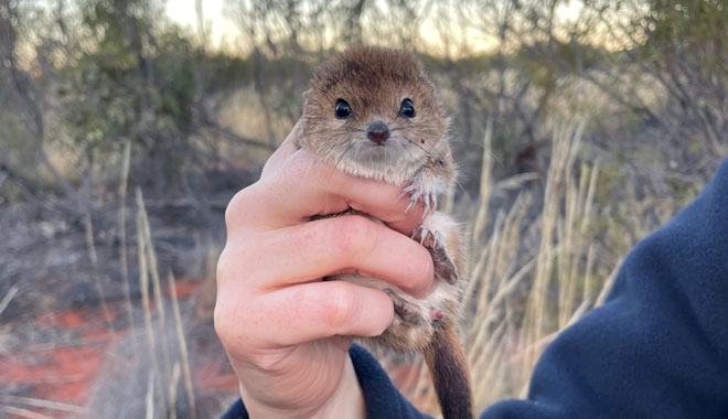 alicespringsdesertpark. 2
