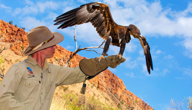 alicespringsdesertpark.