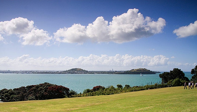 auckland explorer bus 13 jpg