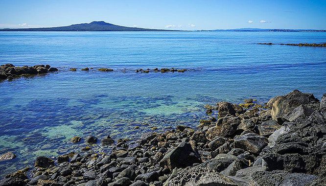 auckland explorer bus 20 jpg
