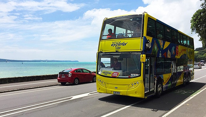 auckland explorer bus 8 jpg