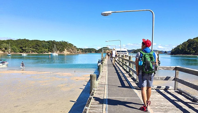 auckland to bay of islands 1