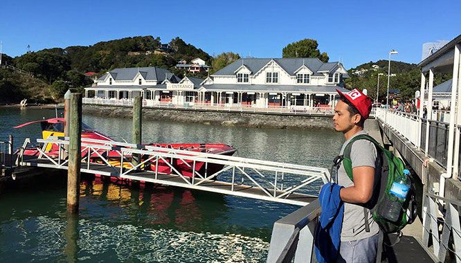 auckland to bay of islands 2