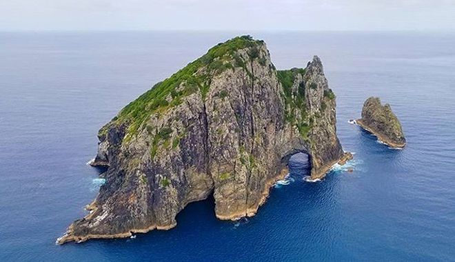 auckland to bay of islands 3