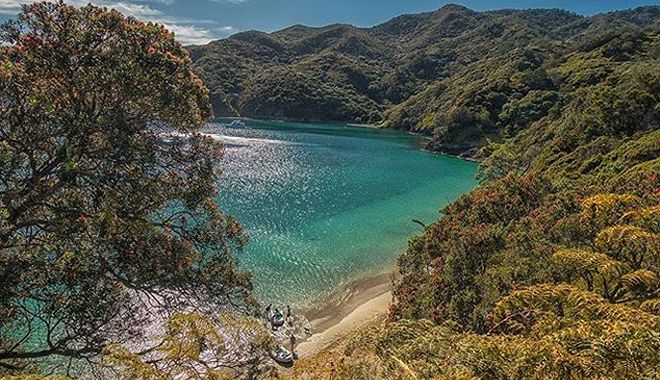 auckland to bay of islands 5