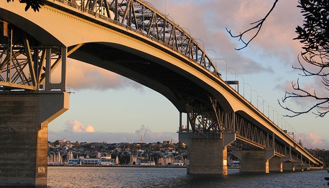 auckland to bay of islands 6