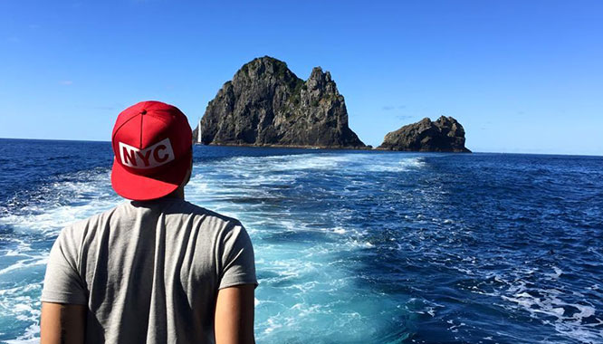 auckland to bay of islands 8