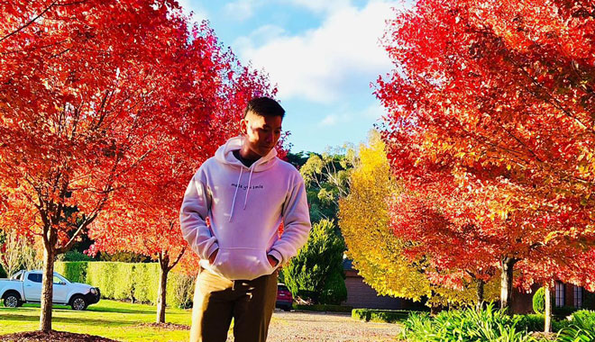 autumn leaves