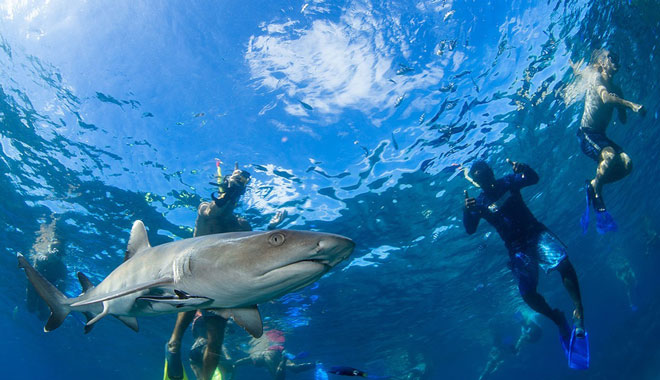 awesome fiji islands coconut cruiser 7 day 6 nights 4 islands1