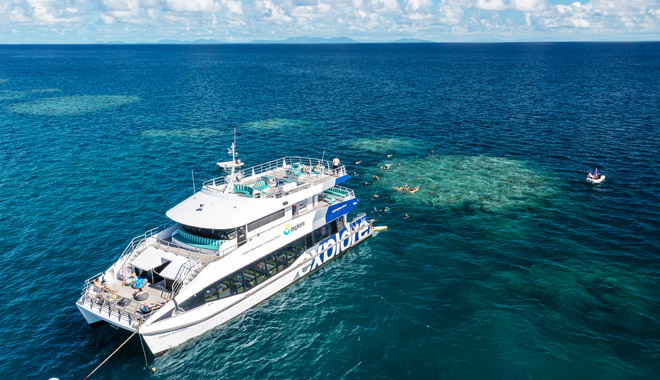 bait reef snorkel dive gbr hti14
