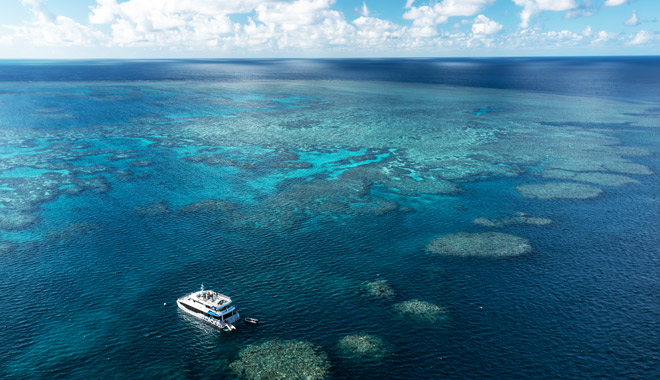 bait reef snorkel dive gbr hti6