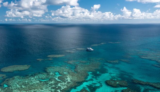 bait reef snorkel dive gbr hti7