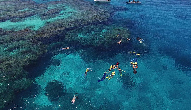 barefoot kuata day trip snorkel with reef sharks 13 jpg