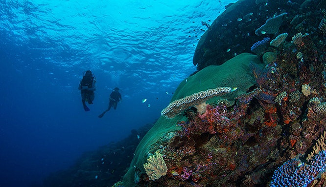 barefoot kuata day trip snorkel with reef sharks 2 jpg