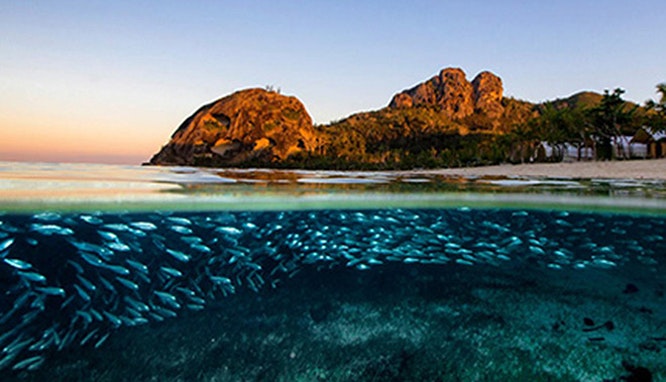 barefoot kuata day trip snorkel with reef sharks 5 jpg