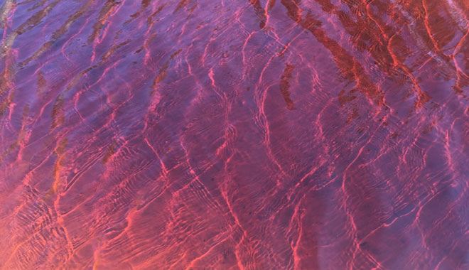 behind the bay tour byron bay7