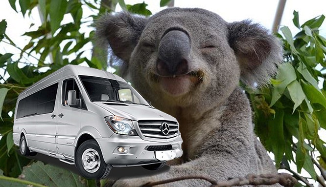 benz sprinter 11 12 new 27 jpg