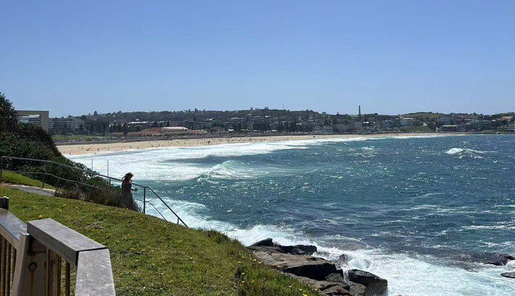 bondi beach 5003
