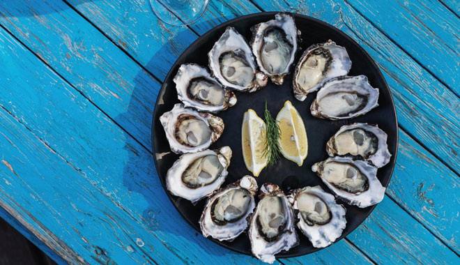 bruny island active day tour5