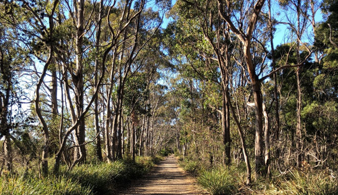 bruny island adventure