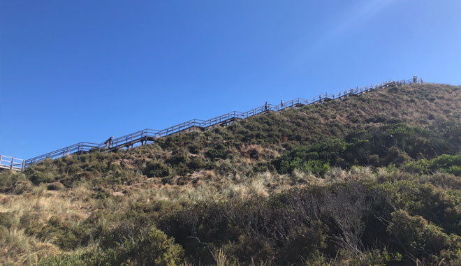 bruny island adventure3