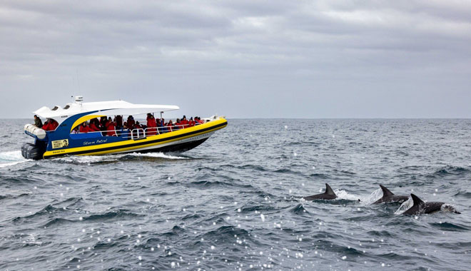 bruny island cruise2