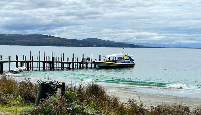 bruny island cruise3