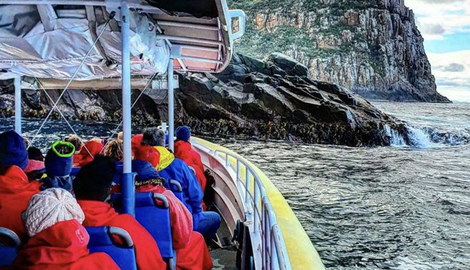 bruny island cruise5