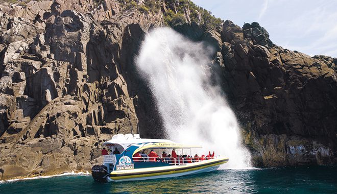 bruny island wilderness cruise 1