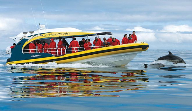 bruny island wilderness cruise 2