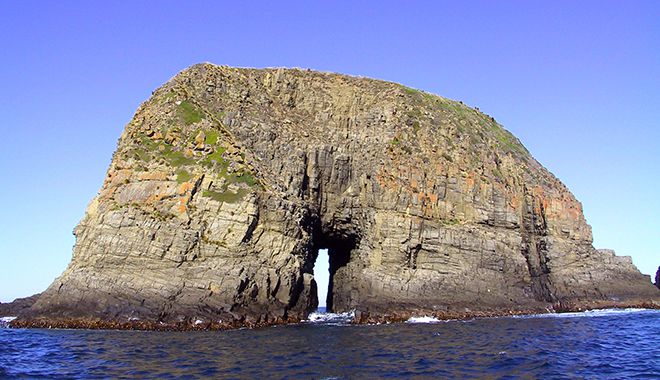 bruny island wilderness cruise 4