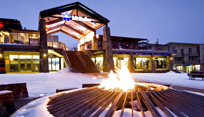 buller mount
