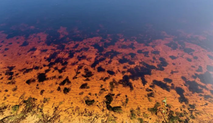 byron bay tea tree lake 0