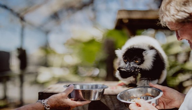 c0045f833408d59824cb536380d1f07d