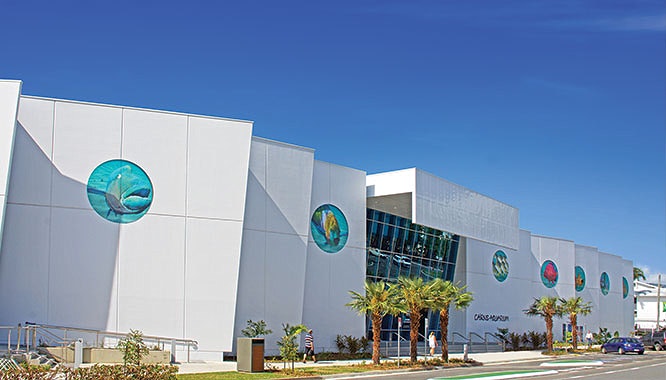 cairns aquarium 7 jpg