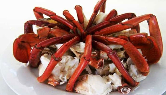 cairns fishing mud crab 5 jpg