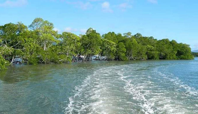cairns fishing mud crab 6 jpg