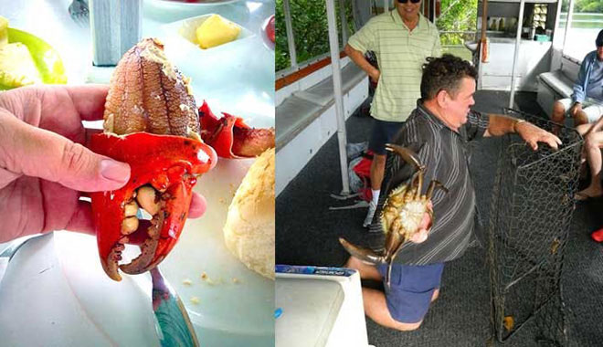 cairns fishing mud crab 8 jpg