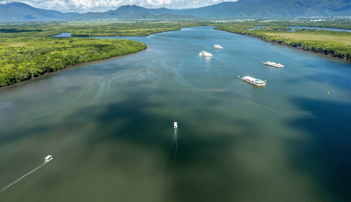 cairns sightseeing cruise 5