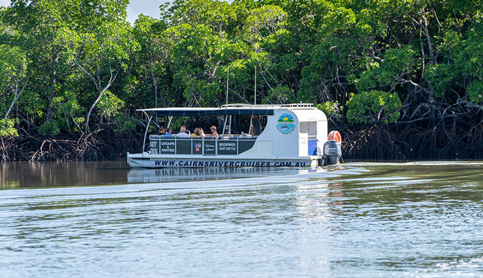cairns sightseeing cruise 9