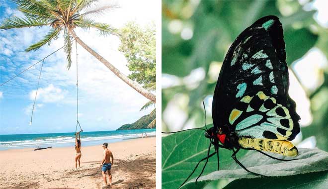 cape tri junglesurfing 1