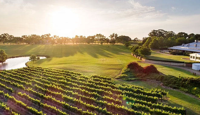 captain cook swan valley6