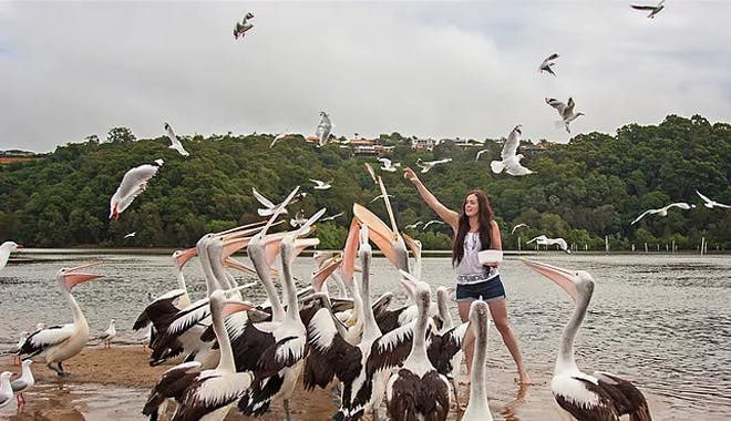 catch a crab gc 2 jpg