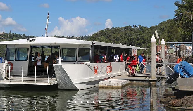 catch a crab gc 6 jpg