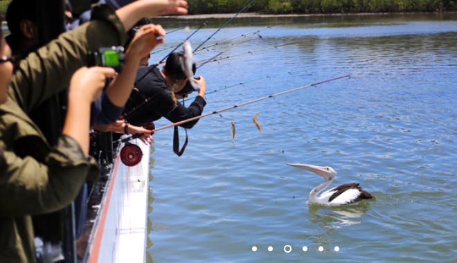 catch a crab gc 9 jpg