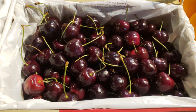 cherry farm 015