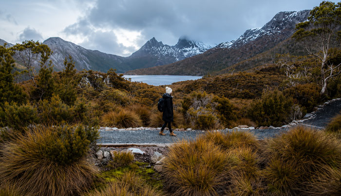 cradle mountain AI polish 551